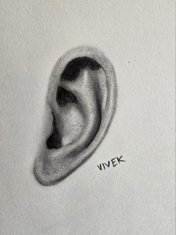 Realistic graphite study of an ear