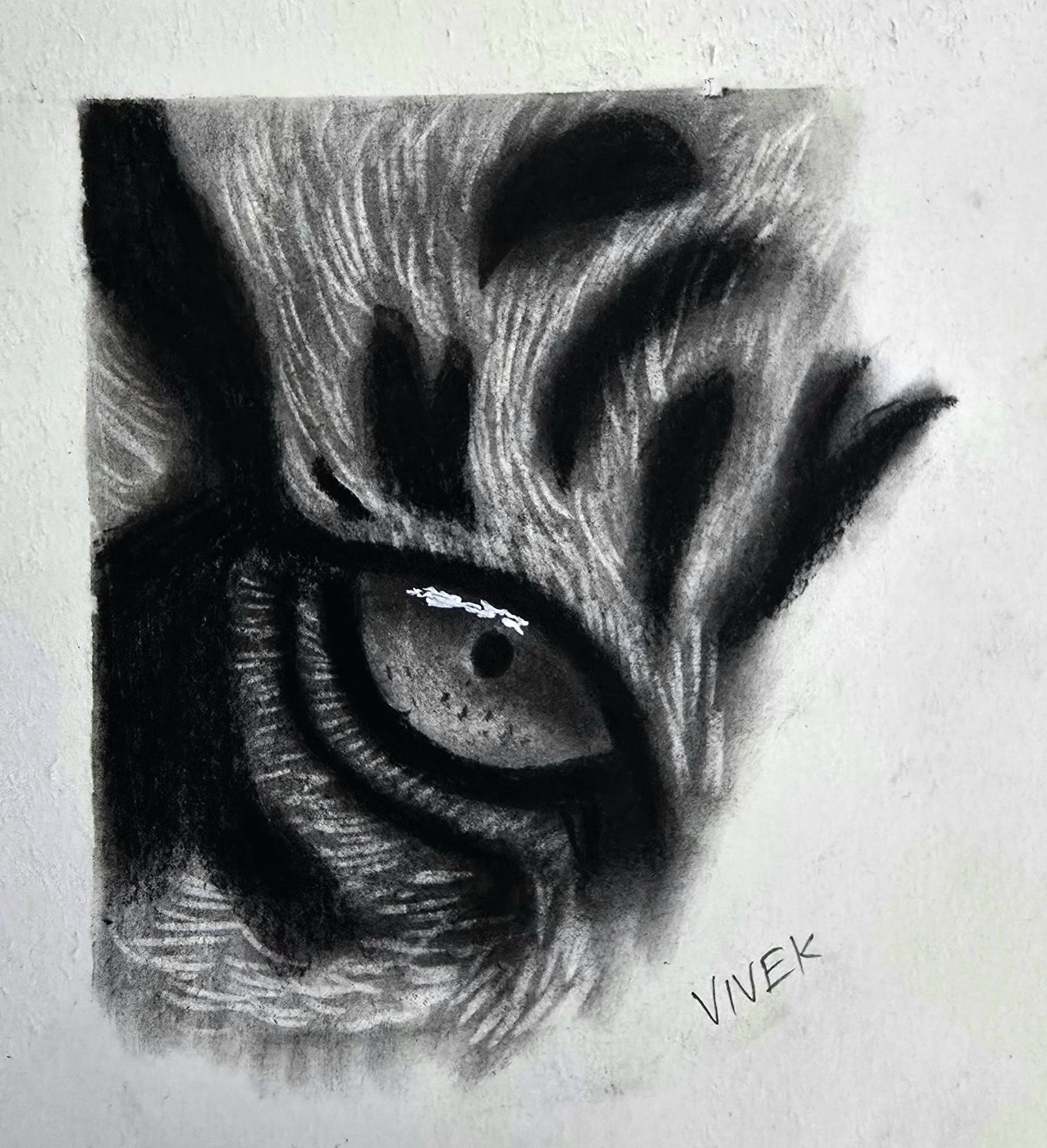 Detailed pencil portrait artwork